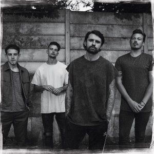 lta_safeinsoundcover